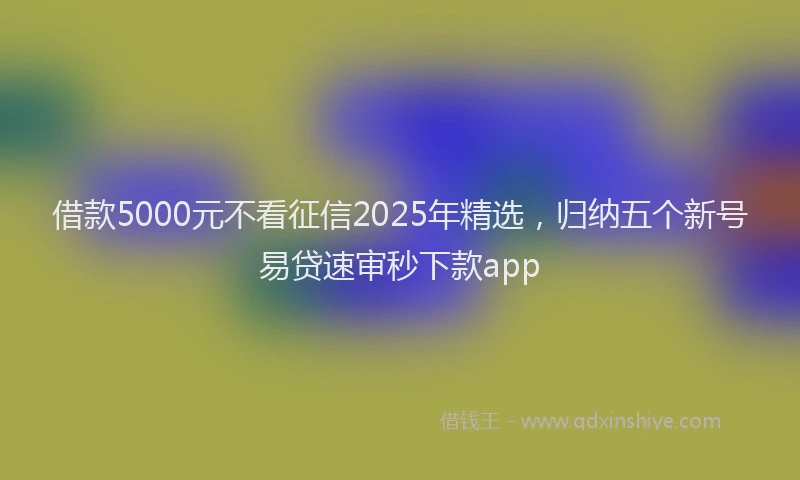 借款5000元不看征信2025年精选,归纳五个新号易贷速审秒下款app