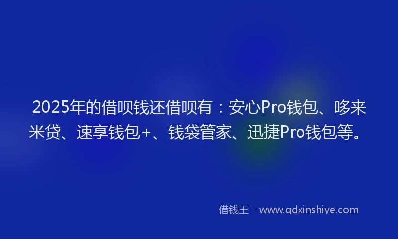 2025年的借呗钱还借呗有：安心Pro钱包、哆来米贷、速享钱包+、钱袋管家、迅捷Pro钱包等。