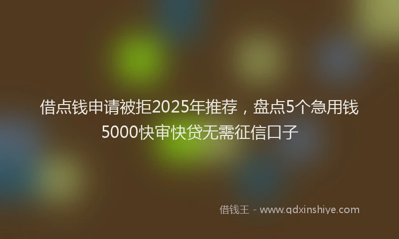 借点钱申请被拒2025年推荐，盘点5个急用钱5000快审快贷无需征信口子