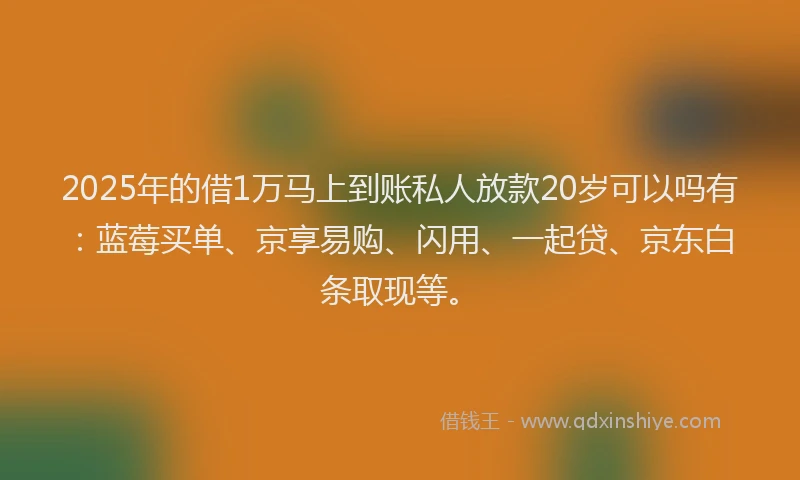 2025年的借1万马上到账私人放款20岁可以吗有：蓝莓买单、京享易购、闪用、一起贷、京东白条取现等。
