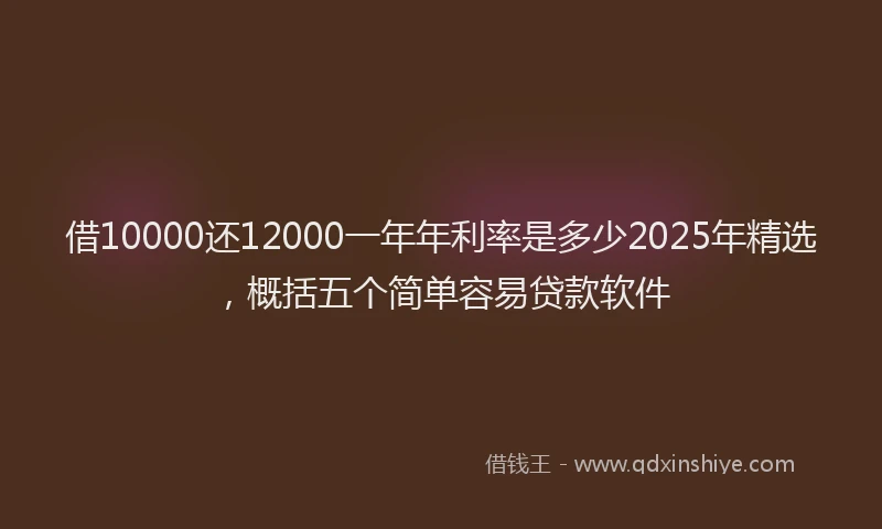 借10000还12000一年年利率是多少2025年精选，概括五个简单容易贷款软件