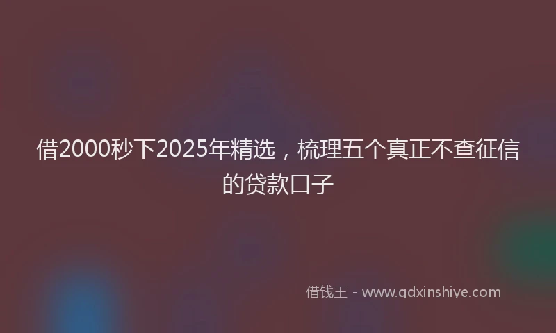 借2000秒下2025年精选，梳理五个真正不查征信的贷款口子