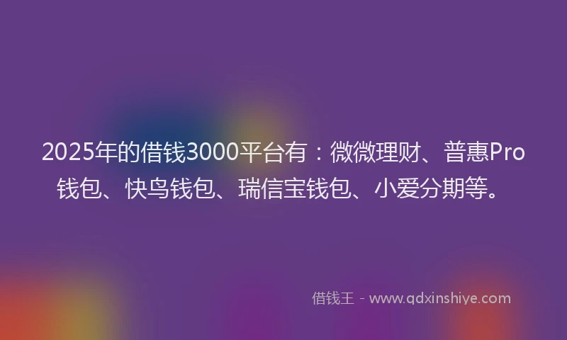 2025年的借钱3000平台有：微微理财、普惠Pro钱包、快鸟钱包、瑞信宝钱包、小爱分期等。