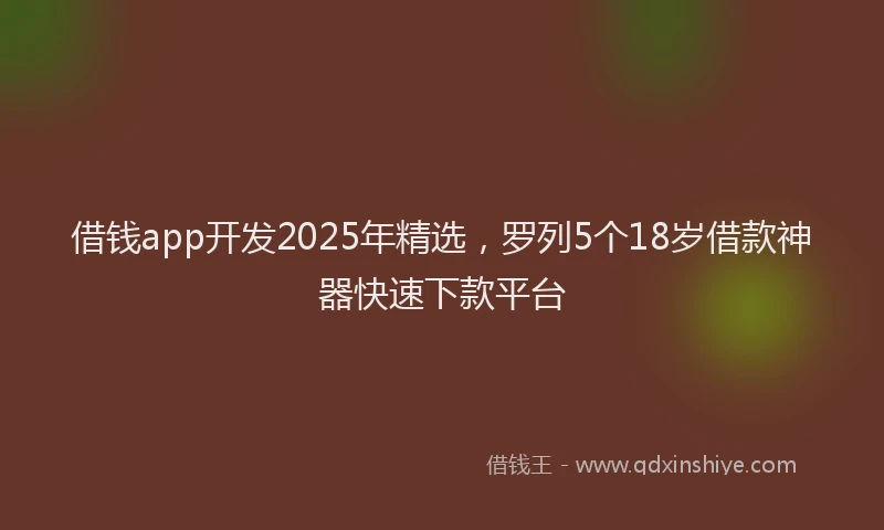 借钱app开发2025年精选，罗列5个18岁借款神器快速下款平台