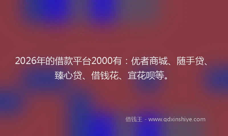2026年的借款平台2000有：优者商城、随手贷、臻心贷、借钱花、宜花呗等。
