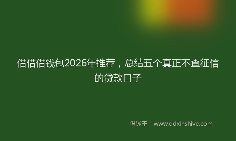 借借借钱包2026年推荐，总结五个真正不查征信的贷款口子