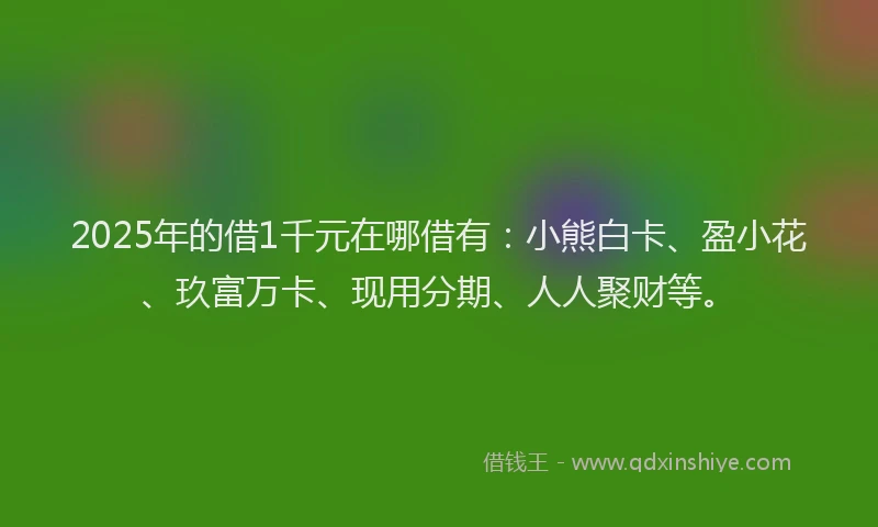2025年的借1千元在哪借有：小熊白卡、盈小花、玖富万卡、现用分期、人人聚财等。