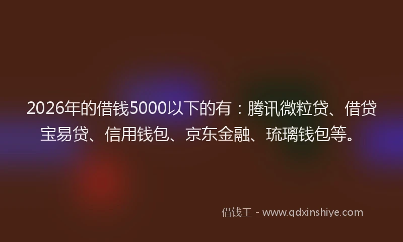 2026年的借钱5000以下的有：腾讯微粒贷、借贷宝易贷、信用钱包、京东金融、琉璃钱包等。