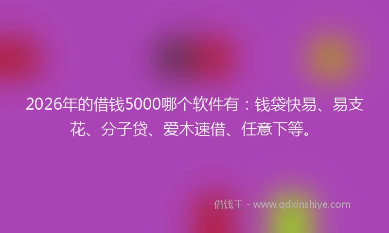 2026年的借钱5000哪个软件有：钱袋快易、易支花、分子贷、爱木速借、任意下等。