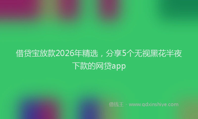 借贷宝放款2026年精选,分享5个无视黑花半夜下款的网贷app