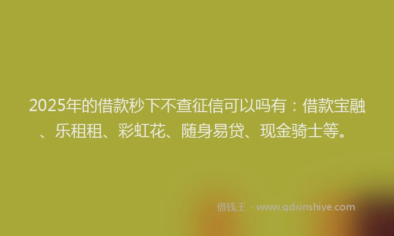 2025年的借款秒下不查征信可以吗有:借款宝融、乐租租、彩虹花、随身易贷、现金骑士等。