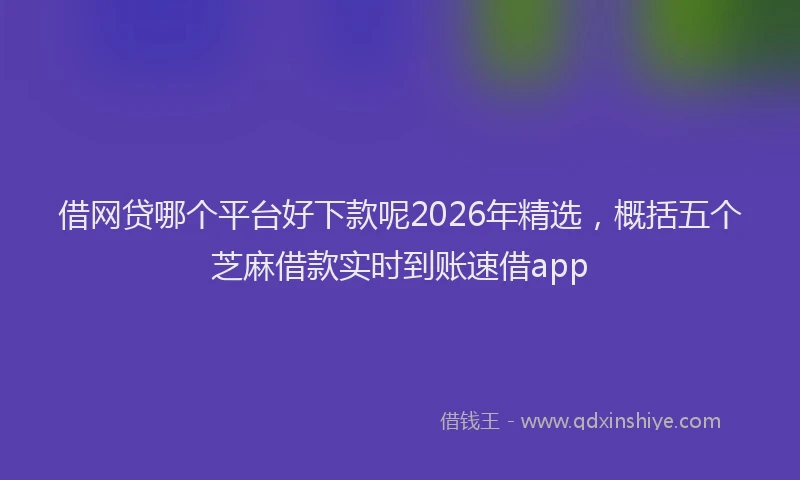 借网贷哪个平台好下款呢2026年精选，概括五个芝麻借款实时到账速借app