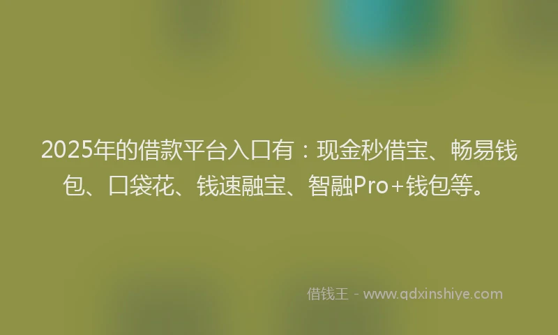 2025年的借款平台入口有:现金秒借宝、畅易钱包、口袋花、钱速融宝、智融Pro+钱包等。