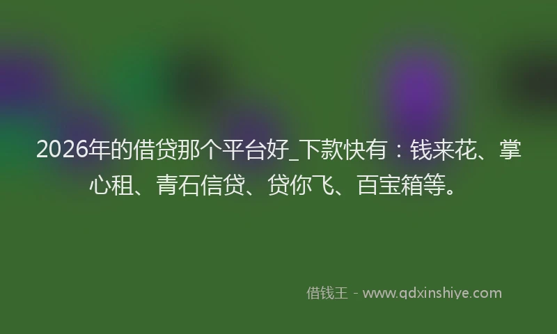 2026年的借贷那个平台好_下款快有：钱来花、掌心租、青石信贷、贷你飞、百宝箱等。
