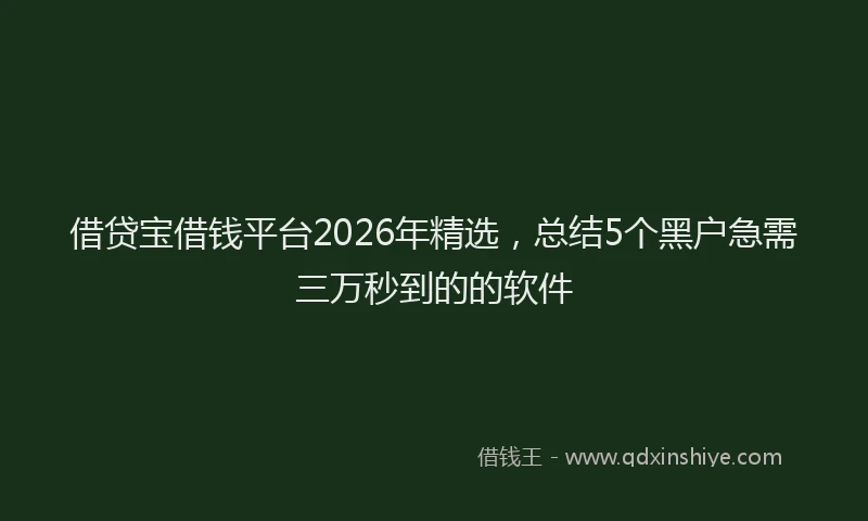 借贷宝借钱平台2026年精选,总结5个黑户急需三万秒到的的软件