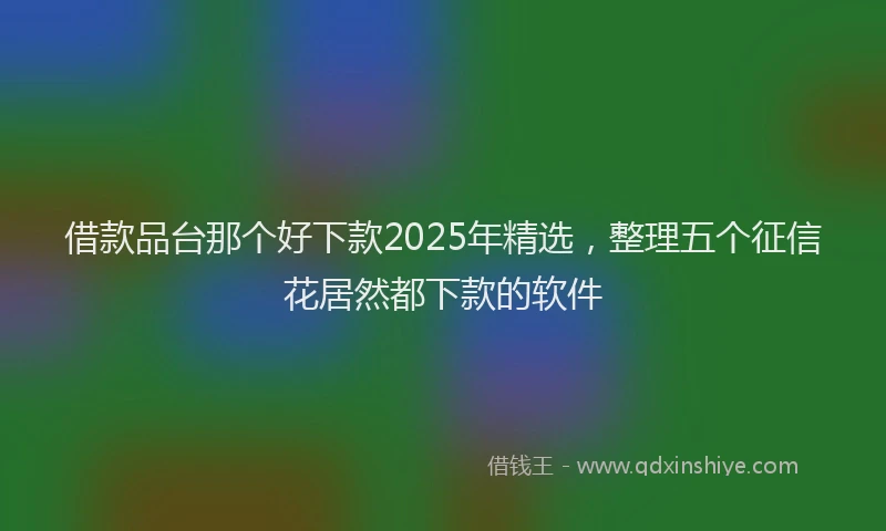 借款品台那个好下款2025年精选，整理五个征信花居然都下款的软件