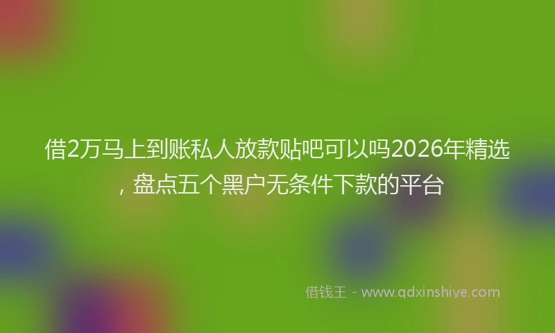 借2万马上到账私人放款贴吧可以吗2026年精选，盘点五个黑户无条件下款的平台