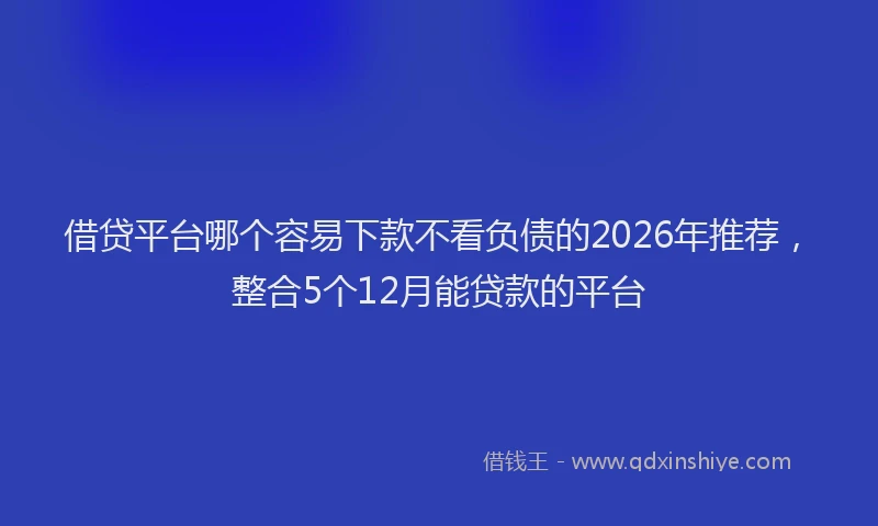 借贷平台哪个容易下款不看负债的2026年推荐，整合5个12月能贷款的平台