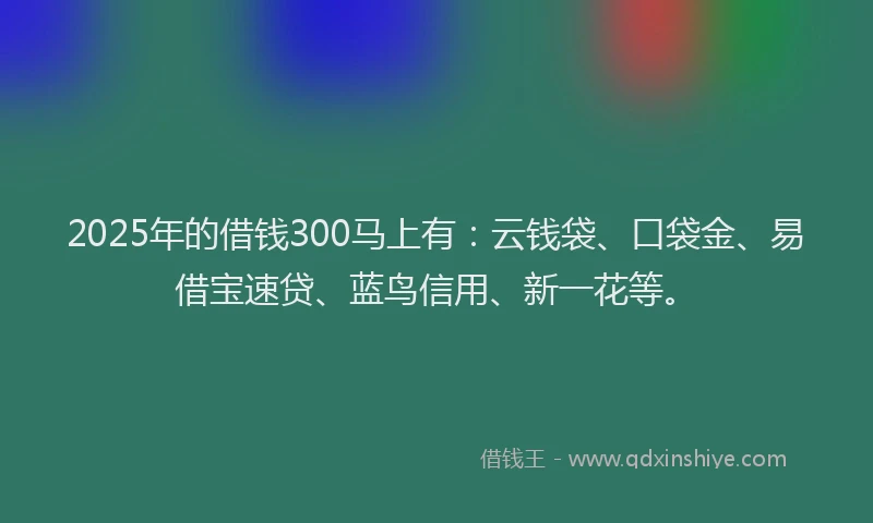 2025年的借钱300马上有:云钱袋、口袋金、易借宝速贷、蓝鸟信用、新一花等。