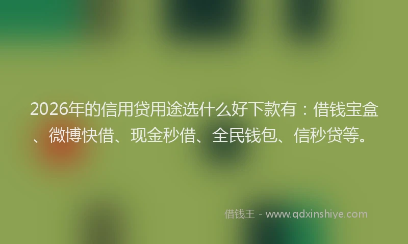 2026年的信用贷用途选什么好下款有：借钱宝盒、微博快借、现金秒借、全民钱包、信秒贷等。