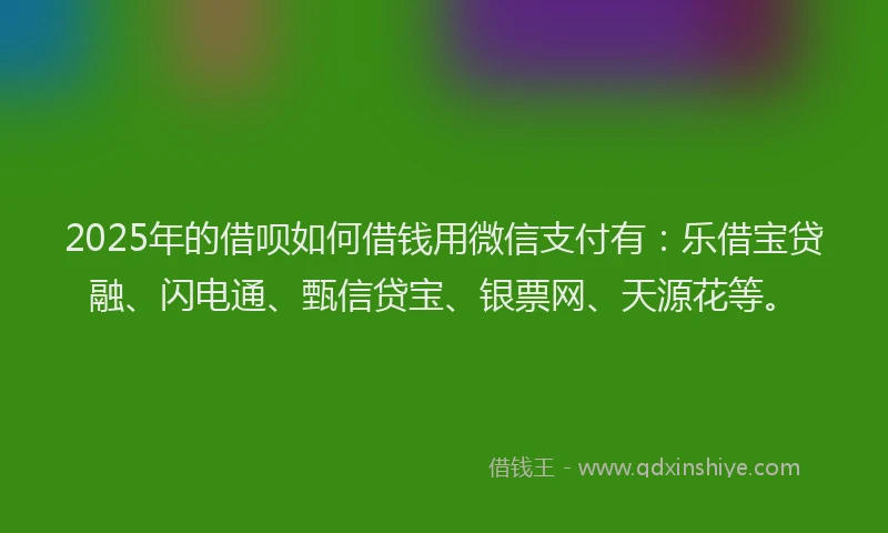 2025年的借呗如何借钱用微信支付有:乐借宝贷融、闪电通、甄信贷宝、银票网、天源花等。