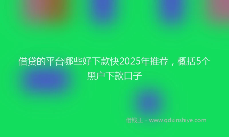 借贷的平台哪些好下款快2025年推荐，概括5个黑户下款口子