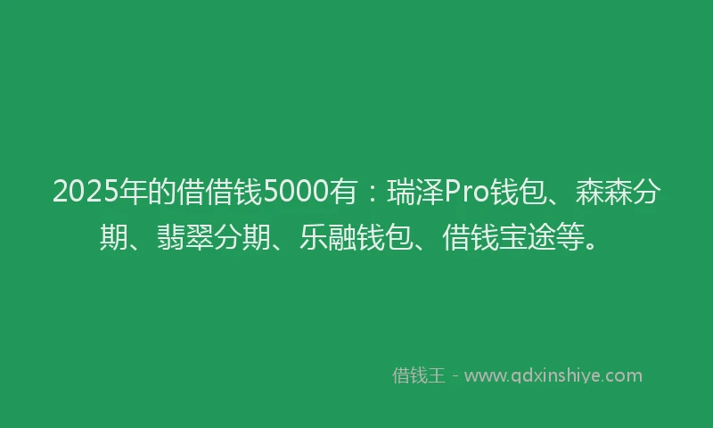 2025年的借借钱5000有:瑞泽Pro钱包、森森分期、翡翠分期、乐融钱包、借钱宝途等。