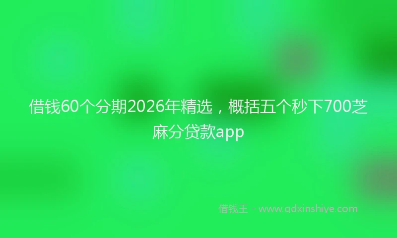 借钱60个分期2026年精选，概括五个秒下700芝麻分贷款app