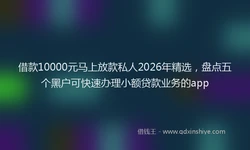 借款10000元马上放款私人2026年精选，盘点五个黑户可快速办理小额贷款业务的app