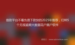 借款平台不看负债下款快的2025年推荐，归纳5个无视逾期大数据花户黑户软件