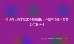 借贷哪些好下款2026年精选，分享五个黑白贷款必过的软件