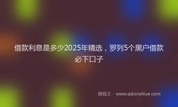 借款利息是多少2025年精选，罗列5个黑户借款必下口子