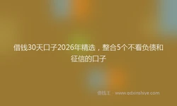 借钱30天口子2026年精选，整合5个不看负债和征信的口子