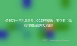 借60万一年利息是多少2025年精选，罗列五个无视网黑征信黑3万贷款