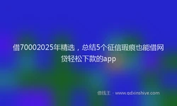 借70002025年精选，总结5个征信瑕疵也能借网贷轻松下款的app