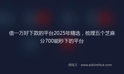 借一万好下款的平台2025年精选，梳理五个芝麻分700能秒下的平台