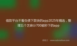 借款平台不看负债下款快的app2025年精选，整理五个芝麻分700能秒下的app