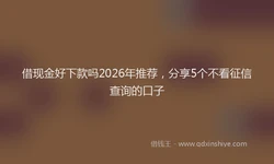 借现金好下款吗2026年推荐，分享5个不看征信查询的口子