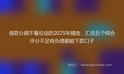 借款分期不看征信的2025年精选，汇总五个综合评分不足有负债都能下款口子