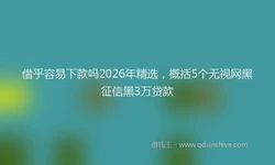 借乎容易下款吗2026年精选，概括5个无视网黑征信黑3万贷款