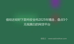 借呗还呗好下款吗安全吗2025年精选，盘点5个无视黑白的网贷平台