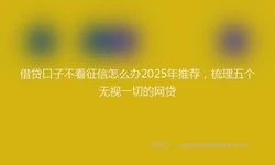 借贷口子不看征信怎么办2025年推荐，梳理五个无视一切的网贷