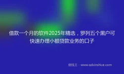 借款一个月的软件2025年精选，罗列五个黑户可快速办理小额贷款业务的口子