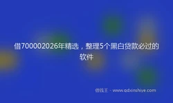 借700002026年精选，整理5个黑白贷款必过的软件