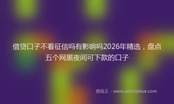 借贷口子不看征信吗有影响吗2026年精选，盘点五个网黑夜间可下款的口子