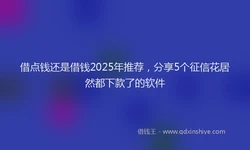 借点钱还是借钱2025年推荐，分享5个征信花居然都下款了的软件