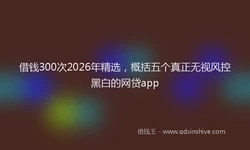 借钱300次2026年精选，概括五个真正无视风控黑白的网贷app