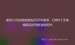 借贷公司加微信借钱2025年推荐，归纳5个芝麻借款实时到账速借软件
