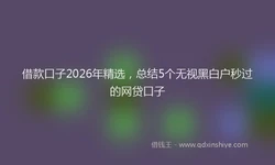 借款口子2026年精选，总结5个无视黑白户秒过的网贷口子