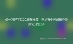 借一万好下款2025年推荐，归纳五个苏州黑户贷款5万的口子